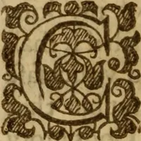 An illustration from An excellent and best approoued treatise of the plague : containing, the nature, signes, and accidents of the same : with the certaine and absolute cure of the feuers, botches, and carbuncles, that raigne in these times : and aboue all things, most singular experiments in the same : gathered by the obseruations of diuers worthy travilers, and selected out of the best learned physitions in this age : likewise is taught, the true and perfect cure of the plague, with secret and vnknowne preseruatiues against all infection : and how so withstand the most dangerous accidents, which may happen this fearefull contagious time : generall rules of life to be obserued by all men this plague time : directions for the commons, country-men and strangers that is necessitated to come into the city : a discovery of what bodies are most apt and soonest to be infected : the signes that signifie a person to be infected with the pestilence, and how to preuent insuing danger lastly, most approoued aduertisments to preserue such as be in health, from the infection, and to prevent the contagious ayre (1625)