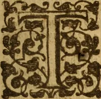 An illustration from An excellent and best approoued treatise of the plague : containing, the nature, signes, and accidents of the same : with the certaine and absolute cure of the feuers, botches, and carbuncles, that raigne in these times : and aboue all things, most singular experiments in the same : gathered by the obseruations of diuers worthy travilers, and selected out of the best learned physitions in this age : likewise is taught, the true and perfect cure of the plague, with secret and vnknowne preseruatiues against all infection : and how so withstand the most dangerous accidents, which may happen this fearefull contagious time : generall rules of life to be obserued by all men this plague time : directions for the commons, country-men and strangers that is necessitated to come into the city : a discovery of what bodies are most apt and soonest to be infected : the signes that signifie a person to be infected with the pestilence, and how to preuent insuing danger lastly, most approoued aduertisments to preserue such as be in health, from the infection, and to prevent the contagious ayre (1625)