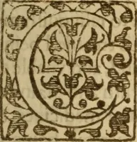 An illustration from An excellent and best approoued treatise of the plague : containing, the nature, signes, and accidents of the same : with the certaine and absolute cure of the feuers, botches, and carbuncles, that raigne in these times : and aboue all things, most singular experiments in the same : gathered by the obseruations of diuers worthy travilers, and selected out of the best learned physitions in this age : likewise is taught, the true and perfect cure of the plague, with secret and vnknowne preseruatiues against all infection : and how so withstand the most dangerous accidents, which may happen this fearefull contagious time : generall rules of life to be obserued by all men this plague time : directions for the commons, country-men and strangers that is necessitated to come into the city : a discovery of what bodies are most apt and soonest to be infected : the signes that signifie a person to be infected with the pestilence, and how to preuent insuing danger lastly, most approoued aduertisments to preserue such as be in health, from the infection, and to prevent the contagious ayre (1625)