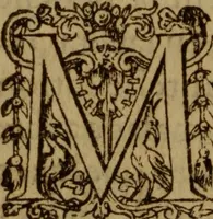 An illustration from Excellent traicte de la peste : monstrant les causes et signes d'icelle, et les remedes les plus exquis tant pour la preseruation que pour la cure des malades, le tout bien approuué, & en diuers lieux heureusement experimenté (1583)