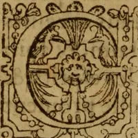 An illustration from Excellent traicte de la peste : monstrant les causes et signes d'icelle, et les remedes les plus exquis tant pour la preseruation que pour la cure des malades, le tout bien approuué, & en diuers lieux heureusement experimenté (1583)