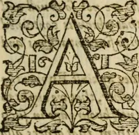 Picture 20 of 30 from A very excellent and learned discourse touching the tranquilitie and contentation of the minde : conteining sundry notable instructions and firme consolations most necessarie for all sortes of afflicted persons in these latter dayes (1592), leaf 162