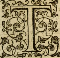 Picture 21 of 30 from A very excellent and learned discourse touching the tranquilitie and contentation of the minde : conteining sundry notable instructions and firme consolations most necessarie for all sortes of afflicted persons in these latter dayes (1592), leaf 164