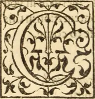 Picture 5 of 30 from A very excellent and learned discourse touching the tranquilitie and contentation of the minde : conteining sundry notable instructions and firme consolations most necessarie for all sortes of afflicted persons in these latter dayes (1592), leaf 17