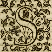 Picture 23 of 30 from A very excellent and learned discourse touching the tranquilitie and contentation of the minde : conteining sundry notable instructions and firme consolations most necessarie for all sortes of afflicted persons in these latter dayes (1592), leaf 188