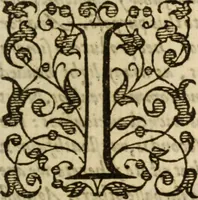 Picture 25 of 30 from A very excellent and learned discourse touching the tranquilitie and contentation of the minde : conteining sundry notable instructions and firme consolations most necessarie for all sortes of afflicted persons in these latter dayes (1592), leaf 266