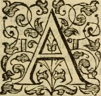 Picture 12 of 30 from A very excellent and learned discourse touching the tranquilitie and contentation of the minde : conteining sundry notable instructions and firme consolations most necessarie for all sortes of afflicted persons in these latter dayes (1592), leaf 30