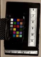 An illustration from Exequias funerales, y pompa lugubre, que la illustre augusta, y muy leal Ciudad de los Angeles celebrò a la muerte de la sacra magestad de la reyna nuestra señora doña Ysabel de Borbon, : en obsequio lloroso de su lealtad, y reseña triste de su dolor. Consagrada a las difuntas çenizas de la Catholica Reyna, y referida á los viuos sentimientos del Rey nuestro señor (1645)