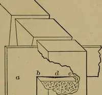 An illustration from Exercises in wood-working, with a short treatise on wood; (1890)