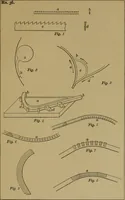 An illustration from Exercises in wood-working, with a short treatise on wood; (1890)