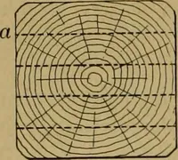 Picture 11 of 70 from Exercises in wood-working, with a short treatise on wood; (1890), leaf 26