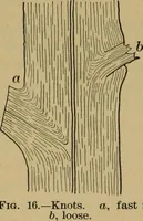 Picture 12 of 70 from Exercises in wood-working, with a short treatise on wood; (1890), leaf 30