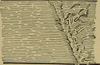 An illustration from Exercises in wood-working, with a short treatise on wood; (1890)
