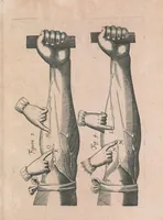 An illustration from Exercitatio anatomica de motv cordis et sangvinis in animalibvs (1628)