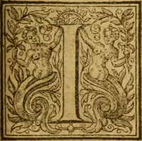 An illustration from Exercitations divine : containing diverse questions and solutions for the right understanding of the Scriptures, proving the necessitie, majestie, integritie, perspicuitie, and sense thereof, as also shewing the singular prerogatives wherewith the Lord indued those whom he appointed to bee the pen-men of them, together with the excellencie and use of divinitie above all humane sciences : all which are cleared out of the Hebrew, and Greeke, the two originall languages in which the Scriptures were first written, by comparing them with the Samaritane, Chaldie, and Syriack copies, and with the Greeke interpretors, and vulgar Latine translation ... (1634)