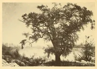 Picture 18 of 19 from Exhibition of American paintings (1900), leaf 20