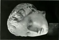 An illustration from An exhibition of antique sculpture, vases, bronzes, &c., &c.,; Egyptian, Greek, Roman and Italian, from the Hope, Peel, Kennedy, Clephan, Hilton Price, and other collections (1919)