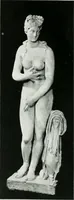 An illustration from An exhibition of antique sculpture, vases, bronzes, &c., &c.,; Egyptian, Greek, Roman and Italian, from the Hope, Peel, Kennedy, Clephan, Hilton Price, and other collections (1919)