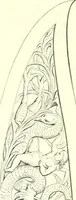 Picture 48 of 272 from The exhibition of art-industry in Dublin, 1853 (1853), leaf 29