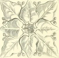 An illustration from The exhibition of art-industry in Dublin, 1853 (1853)