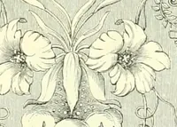 Picture 256 of 272 from The exhibition of art-industry in Dublin, 1853 (1853), leaf 97