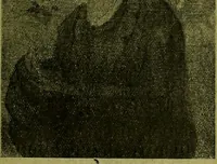 An illustration from Exhibition of French modern art : paintings, sculptures, etchings, and applied art (1919)