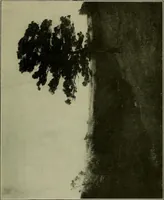 An illustration from Exhibition of French modern art : paintings, sculptures, etchings, and applied art (1919)