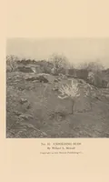 Picture 3 of 5 from Exhibition of Oriental and American art : under the joint auspices of the Alumni memorial committee and the Ann Arbor art association on the occasion of the opening of the Alumni Memorial Hall, University of Michigan, May 11 to 30, 1910 (1910), leaf 41