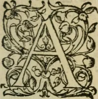 An illustration from Exhortation avx Francois povr vivre en concorde, et iovir dv bien de la paix (1570)