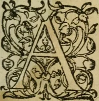 An illustration from Exhortation avx Francois povr vivre en concorde, et iovir dv bien de la paix (1570)