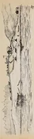 An illustration from Expedición Austral Argentina. Informes preliminares presentados a S.S.E.E. los Ministros del Interior y de Guerra y Marina de la República Argentina (1883)