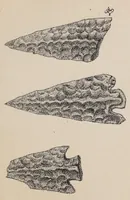 An illustration from Expedición Austral Argentina. Informes preliminares presentados a S.S.E.E. los Ministros del Interior y de Guerra y Marina de la República Argentina (1883)