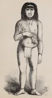 An illustration from Expedición Austral Argentina. Informes preliminares presentados a S.S.E.E. los Ministros del Interior y de Guerra y Marina de la República Argentina (1883)
