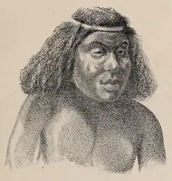 An illustration from Expedición Austral Argentina. Informes preliminares presentados a S.S.E.E. los Ministros del Interior y de Guerra y Marina de la República Argentina (1883)