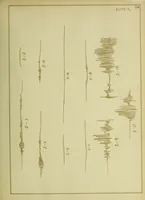 An illustration from An experimental investigation of a highway bridge (1912)