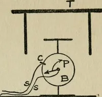 An illustration from Experiments in psychical science, levitation, contact, and the direct voice (1919)