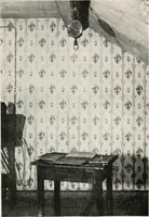 Picture 19 of 20 from Experiments in psychical science : levitation, contact, and the direct voice (1919), leaf 173
