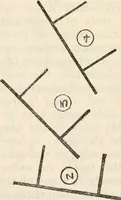 An illustration from Experiments in psychical science : levitation, contact, and the direct voice (1919)