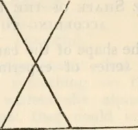 An illustration from Experiments in psychical science : levitation, contact, and the direct voice (1919)