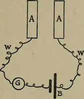 Picture 18 of 22 from Experiments in psychical science : levitation, contact, and the direct voice (1919), leaf 105