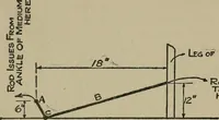 Picture 13 of 22 from Experiments in psychical science : levitation, contact, and the direct voice (1919), leaf 82