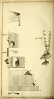 An illustration from Experiments upon vegetables : discovering their great power of purifying the common air in the sun-shine, and of injuring it in the shade and at night : to which is joined, a new method of examining the accurate degree of salubrity of the atmosphere (1779)