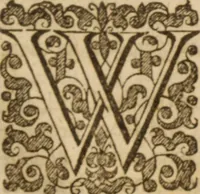 Picture 13 of 17 from An exposition of the lawes of Moses : viz., morall, ceremoniall, iudiciall ... the second volume .. (1632), leaf 214