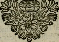 An illustration from Explication des tableaux de la galerie de Versailles et de ses deux sallons (1687)