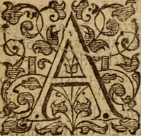 Picture 2 of 25 from An explication of some passages in the foregoing propositions and profession : with an answer to some objections that are like to be made against them (1653), leaf 6