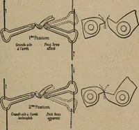 Picture 271 of 327 from Exploitation technique des chemins de fer .. (1907), leaf 502