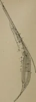 An illustration from Exploitation technique des chemins de fer .. (1907)