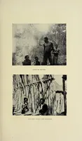 An illustration from Exploration and hunting in central Africa 1895-96 (1898)
