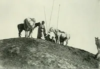 Picture 40 of 193 from Explorations in Bible lands during the 19th century (1903), leaf 351