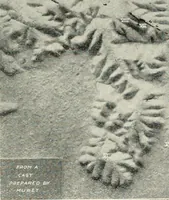 Picture 41 of 193 from Explorations in Bible lands during the 19th century (1903), leaf 354